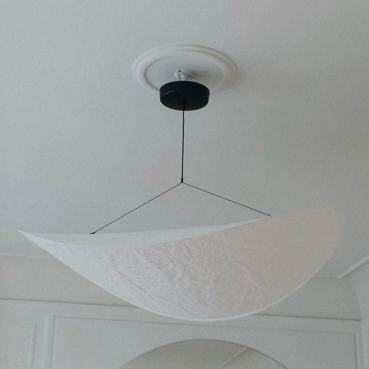 Floating Leaf Pendant Light