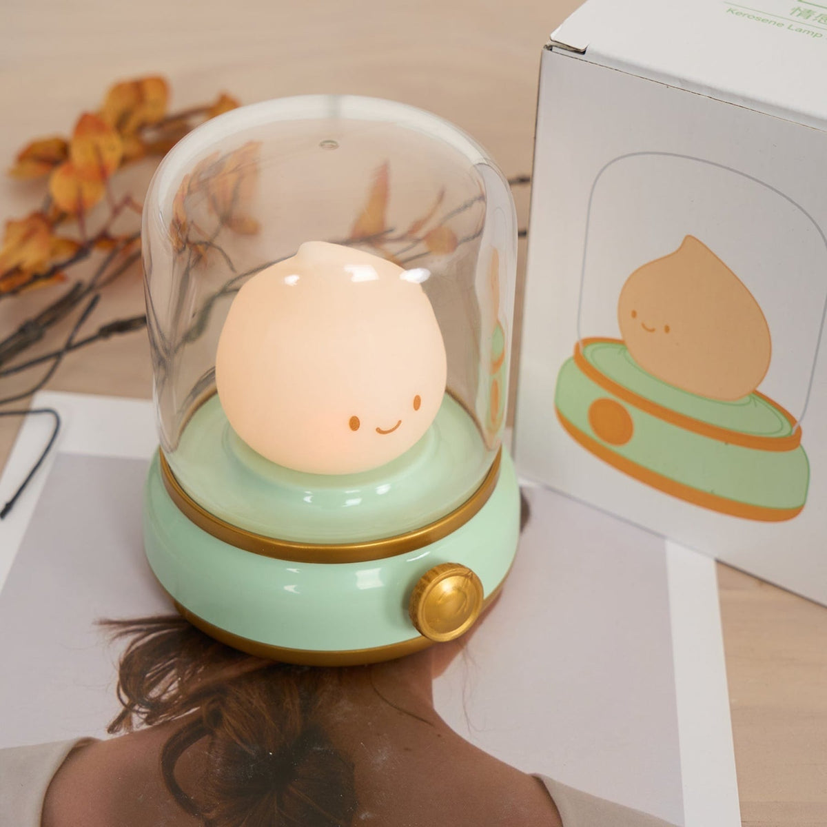 Acrylic Cordless Table Lamp