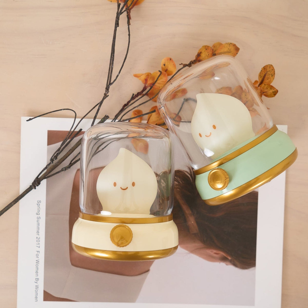 Acrylic Cordless Table Lamp
