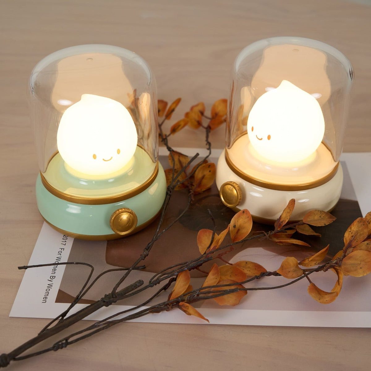Acrylic Cordless Table Lamp