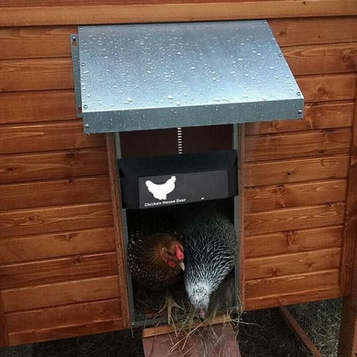 Automatic Chicken Coop Door with Light Sensor and Weatherproof Housing, view 6