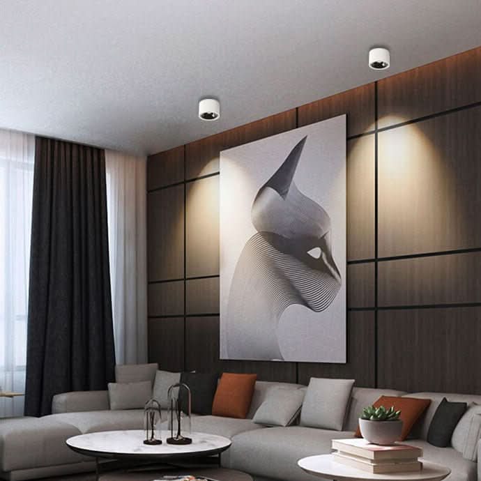 Ceiling Light with Adjustable Spotlight, 7, 10 and 12 W, Four Light Colors, view 2