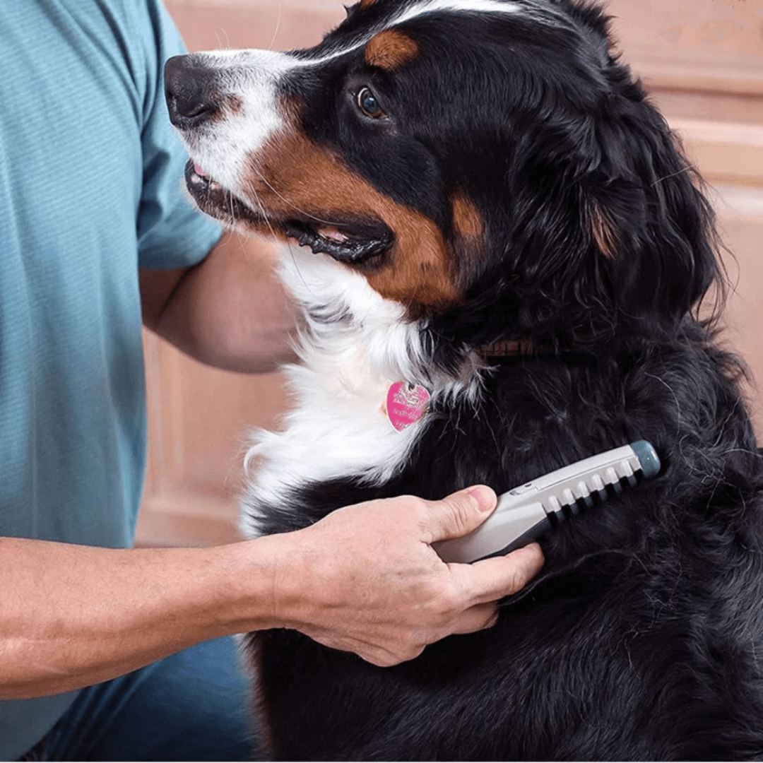 Gentle Pet Dematting Tool for Short, Long, Thick and Fine Coats, view 2