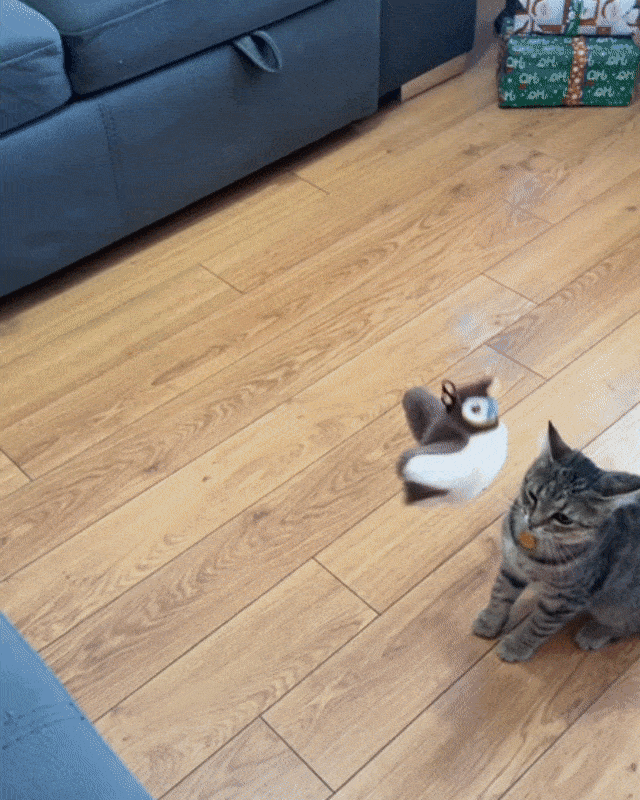 Cat playing with an interactive plush bird toy on the floor