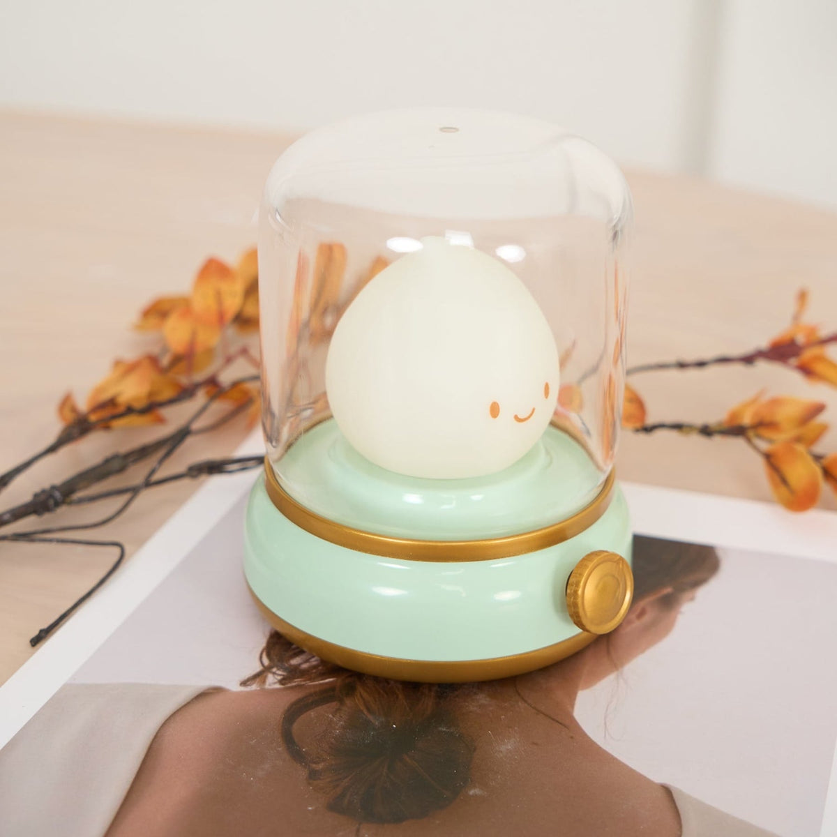 Acrylic Cordless Table Lamp