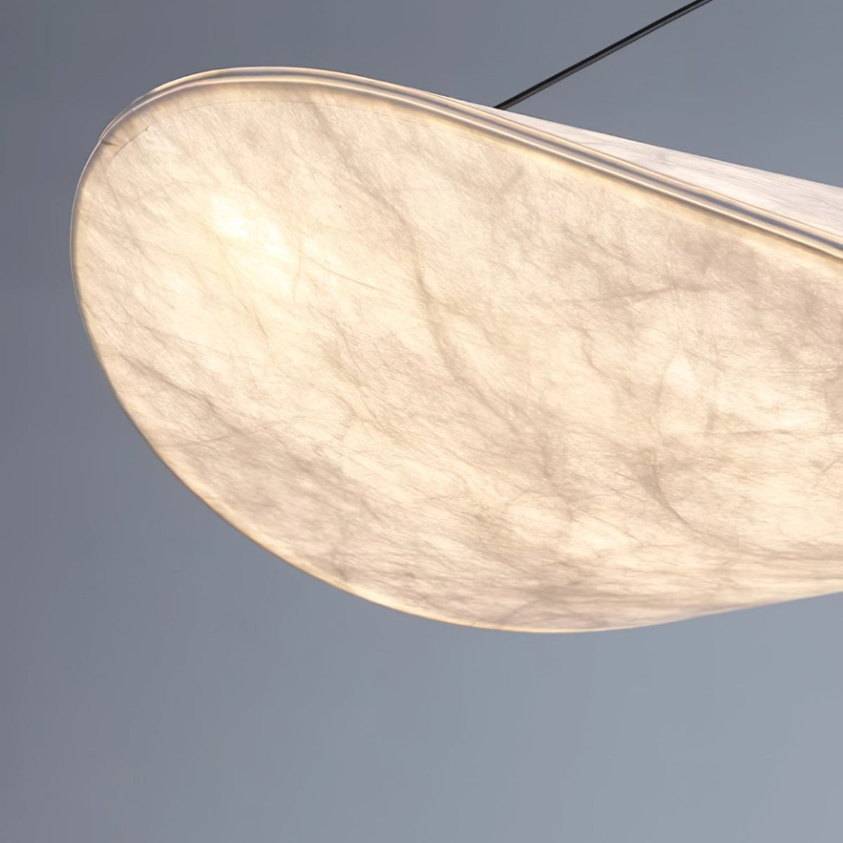 Floating Leaf Pendant Light