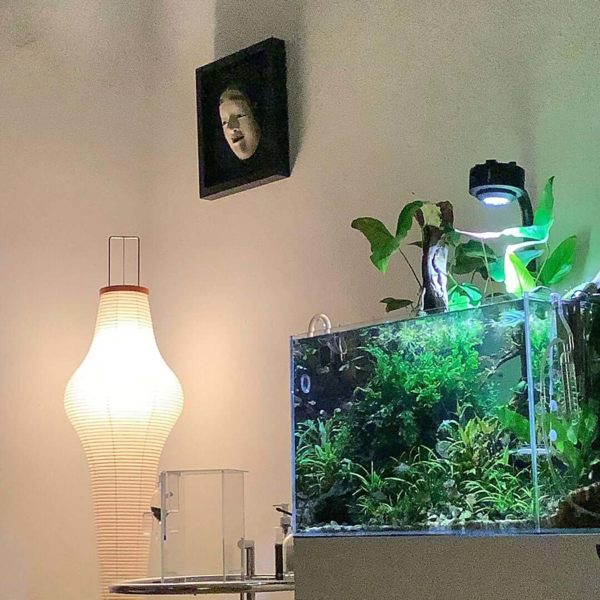 Rice Paper Floor Lamp