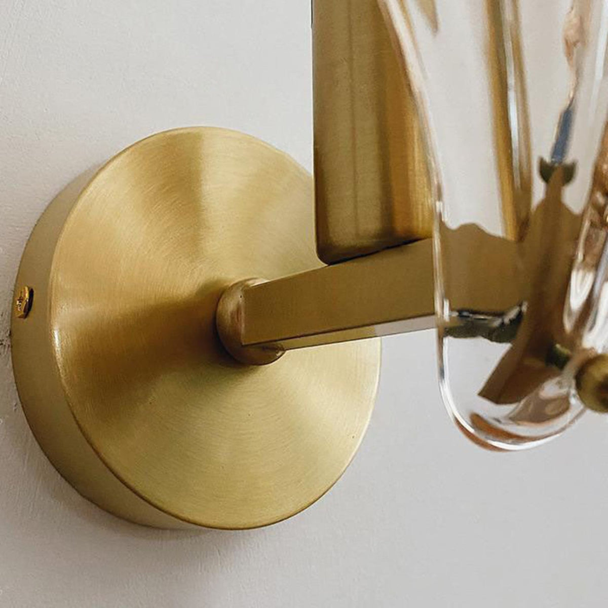 Shell Wall Sconce