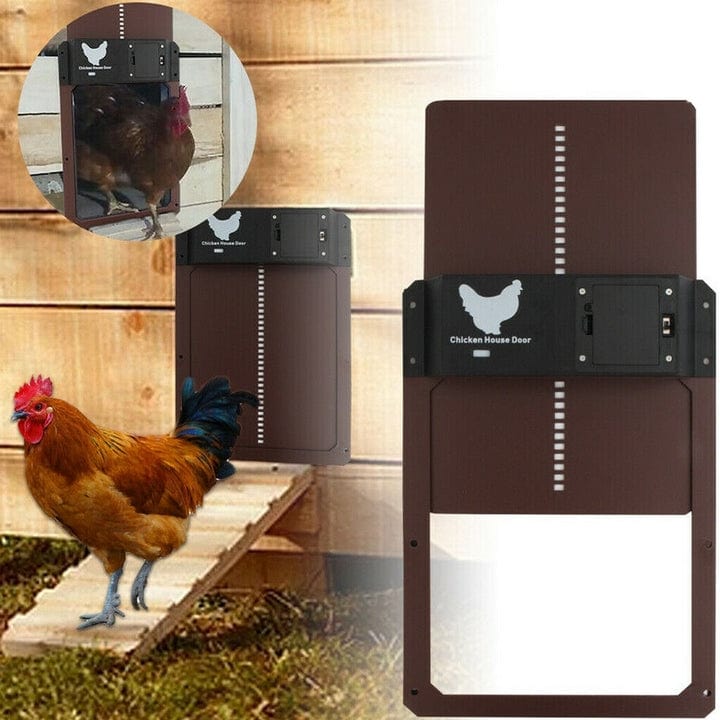 Automatic chicken coop door with light sensor mounted on a coop