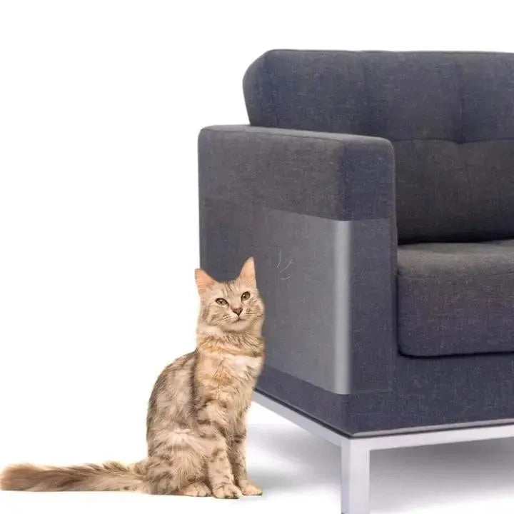 Cat Scratch Protector Film – Pack of 6 – product view 8 | Brivenzo