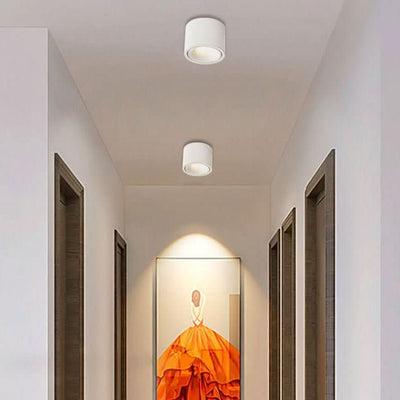 Ceiling Light with Adjustable Spotlight, 7, 10 and 12 W, Four Light Colors, view 1