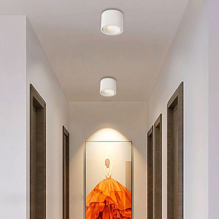 Ceiling Light with Adjustable Spotlight, 7, 10 and 12 W, Four Light Colors, view 1