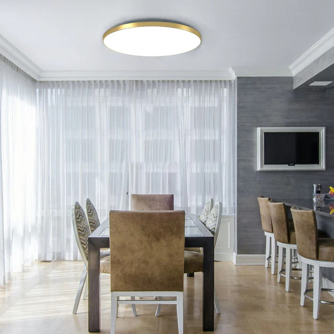 Ultra-Slim Round LED Flush Mount Ceiling Light