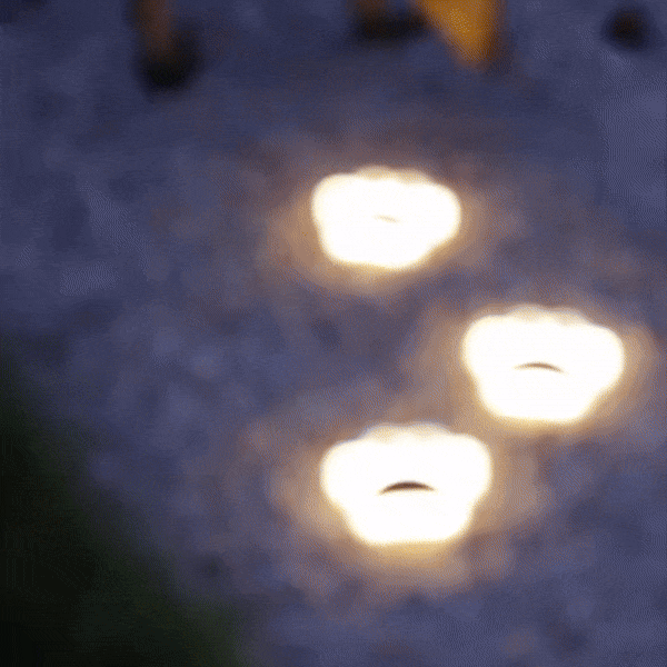 Solar garden lights with ground stakes glowing along a garden path